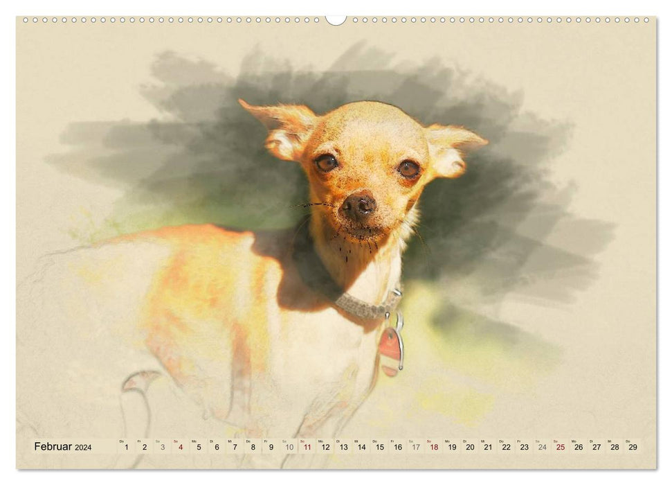 Chihuahuas 2024 (CALVENDO Wandkalender 2024)