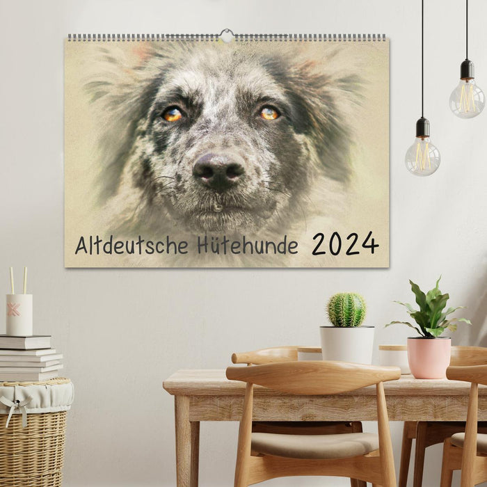 Old German Shepherd Dogs 2024 (CALVENDO Wall Calendar 2024) 