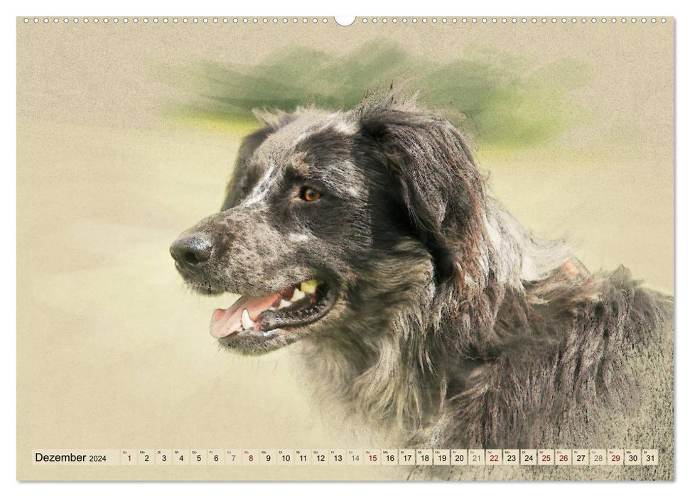Old German Shepherd Dogs 2024 (CALVENDO Wall Calendar 2024) 