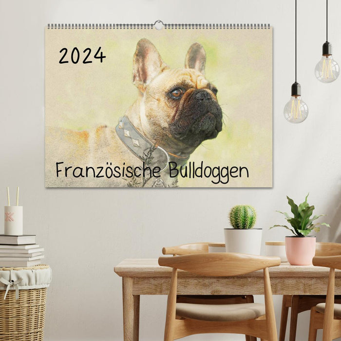 Französische Bulldoggen 2024 (CALVENDO Wandkalender 2024)