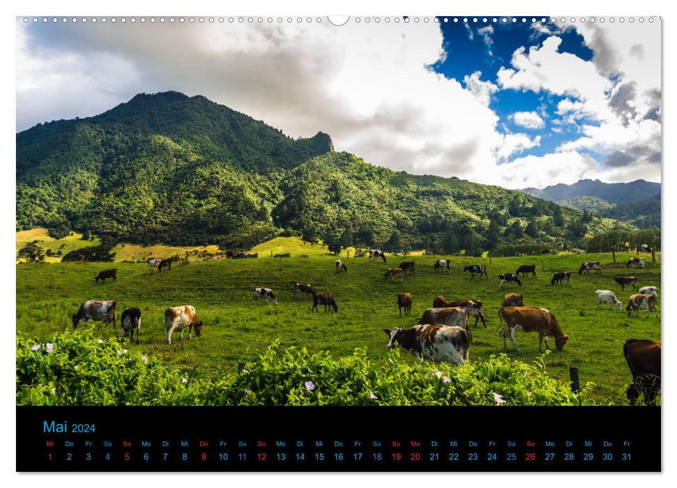 Nouvelle-Zélande 2024 - Photos d'un voyage à vélo (Calendrier mural CALVENDO 2024) 