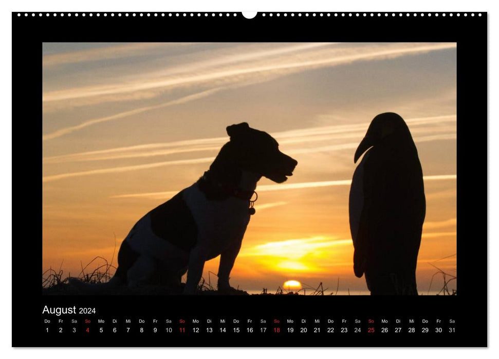 Jack Russell Terrier.....A quick-change artist named Jake (CALVENDO Premium Wall Calendar 2024) 