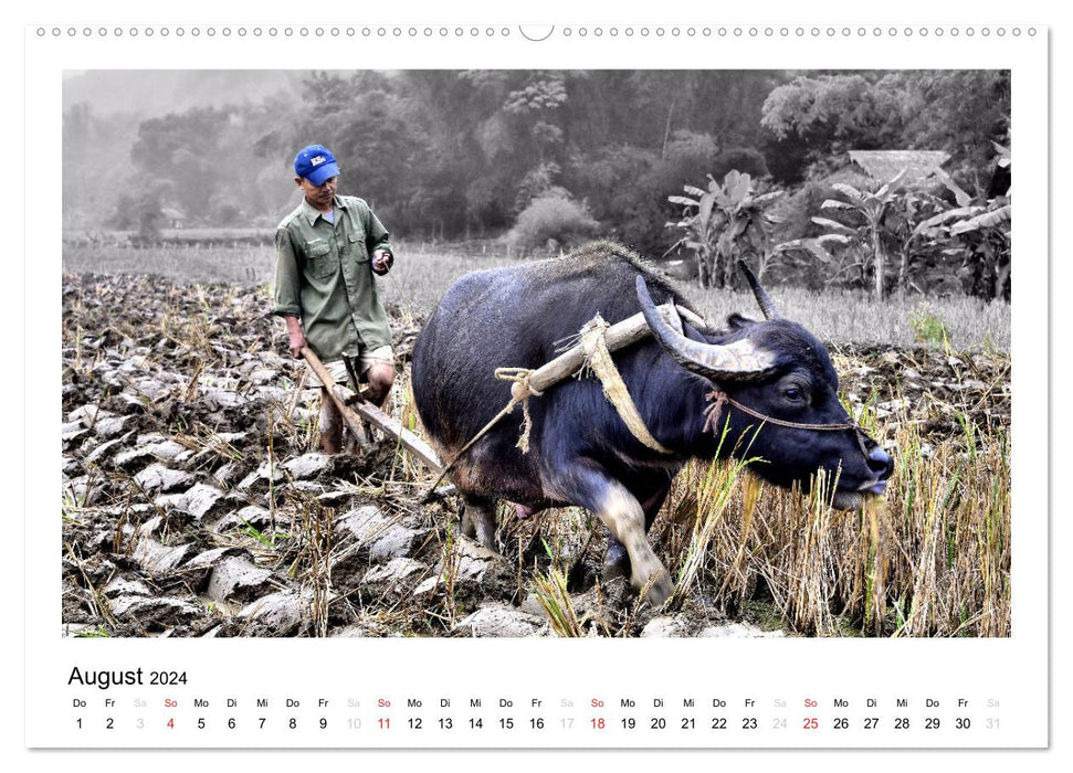 Vietnam - Avec des yeux différents (Calvendo Premium Wall Calendar 2024) 