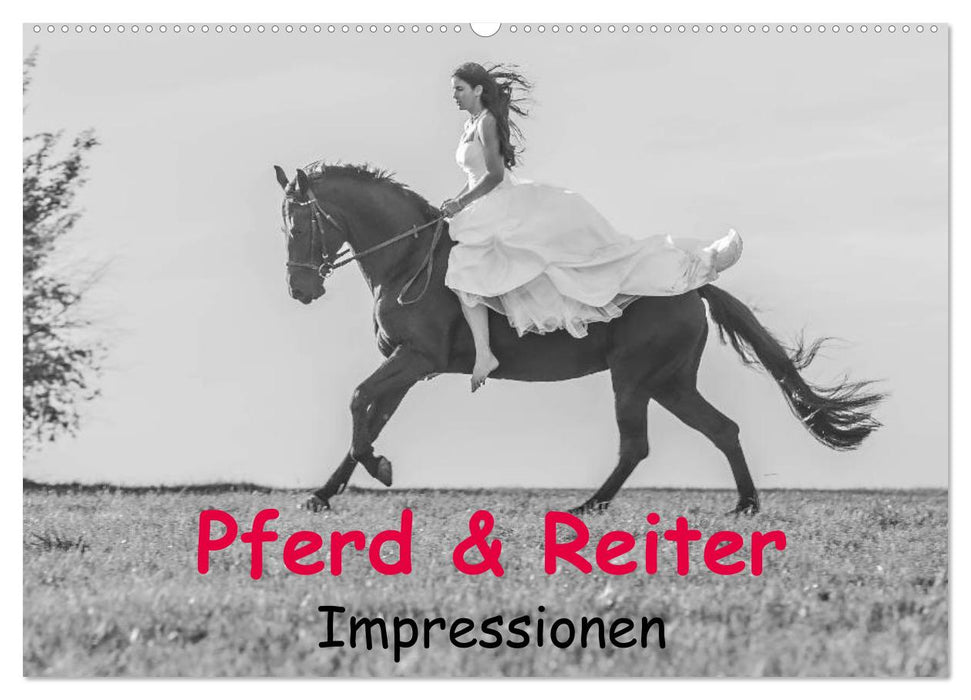 Pferd & Reiter - Impressionen (CALVENDO Wandkalender 2024)