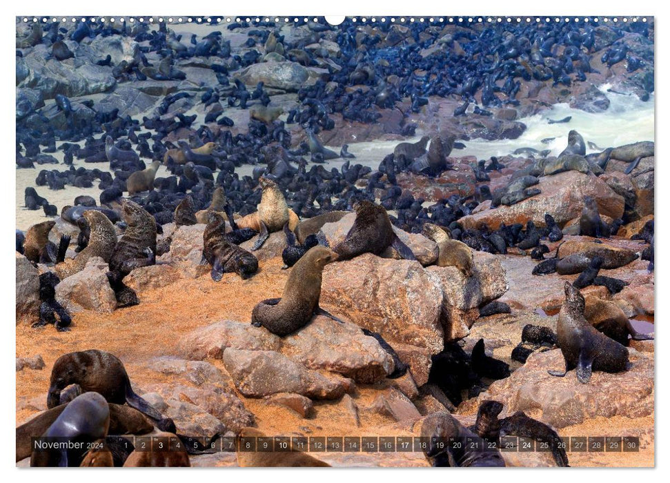 Namibia - The Wildlife (CALVENDO Premium Wall Calendar 2024) 