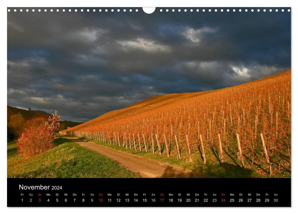 The Ortenau (CALVENDO wall calendar 2024) 