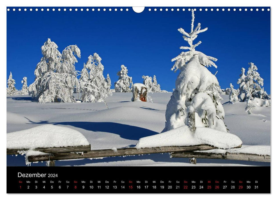 The Ortenau (CALVENDO wall calendar 2024) 