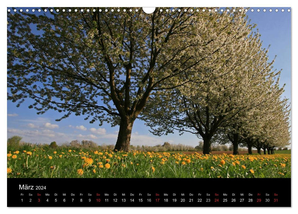 The Ortenau (CALVENDO wall calendar 2024) 