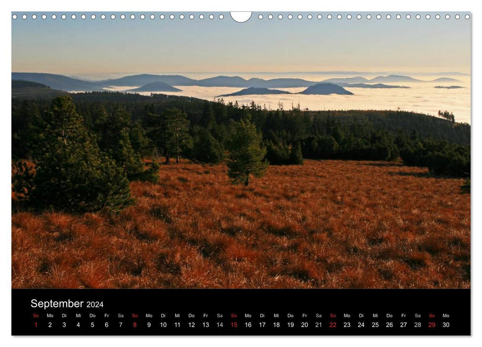 The Ortenau (CALVENDO wall calendar 2024) 