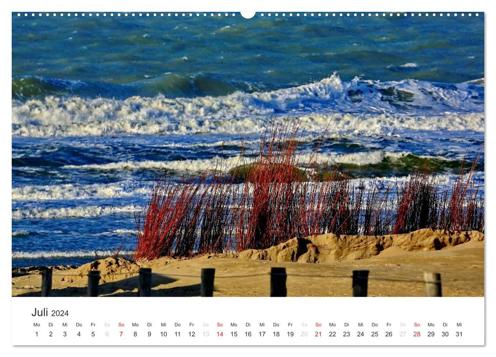 Texel – Une île qui enchante (Calendrier mural CALVENDO Premium 2024) 