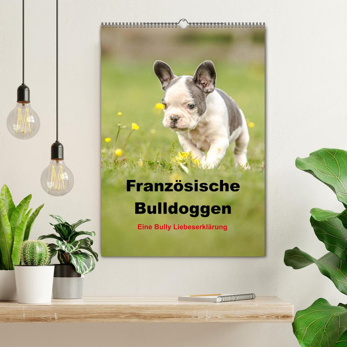 Französische Bulldoggen - Eine Bully Liebeserkärung (CALVENDO Wandkalender 2024)