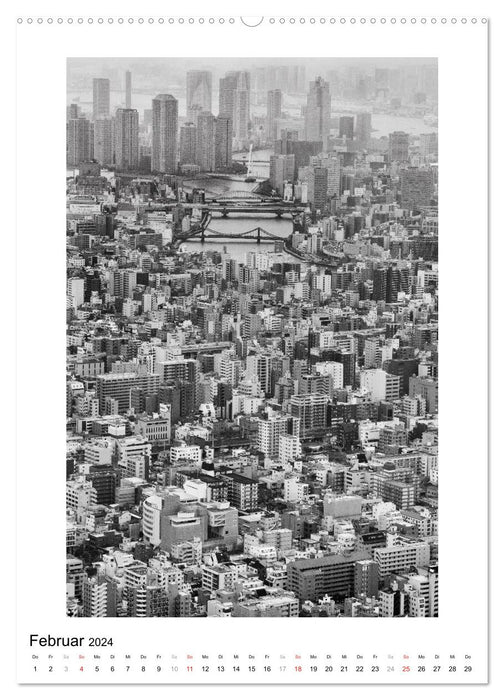Tokyo – Images d'une ville (Calendrier mural CALVENDO 2024) 