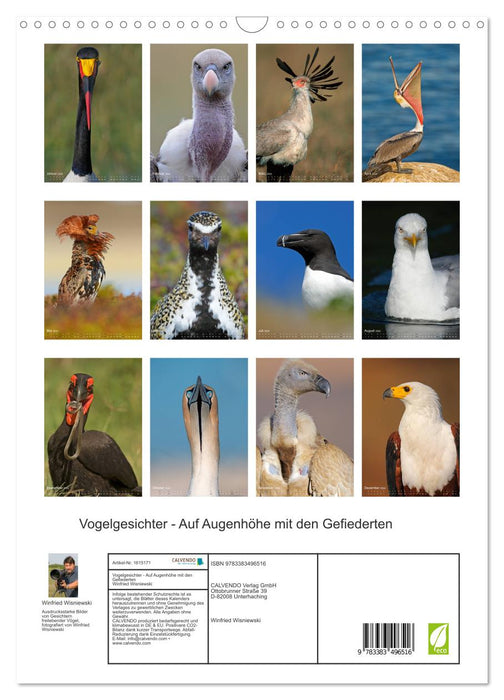 Magic of the moment - bird faces - at eye level with the feathered ones (CALVENDO wall calendar 2024) 