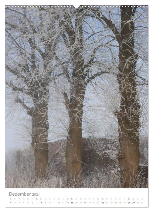 Natur am Meer - Wälder, Gärten und Blumen am Rande der Ostsee (CALVENDO Premium Wandkalender 2024)