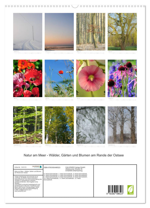 Nature by the sea - forests, gardens and flowers on the edge of the Baltic Sea (CALVENDO Premium Wall Calendar 2024) 