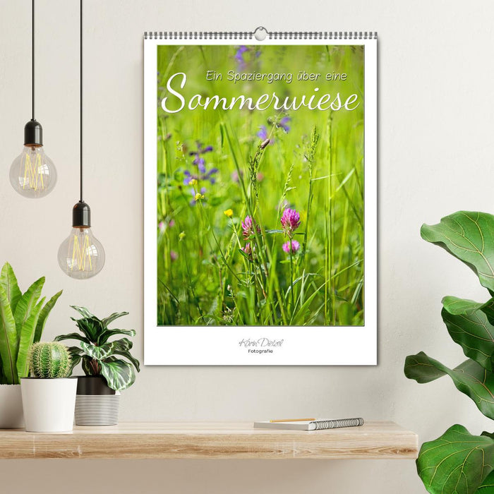 Ein Spaziergang über eine Sommerwiese (CALVENDO Wandkalender 2024)