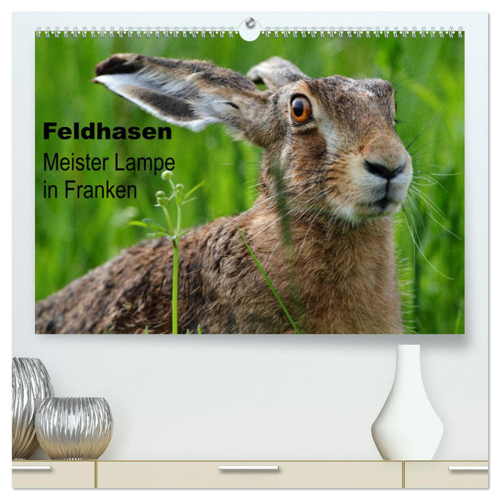 Feldhasen - Meister Lampe in Franken (CALVENDO Premium Wandkalender 2024)