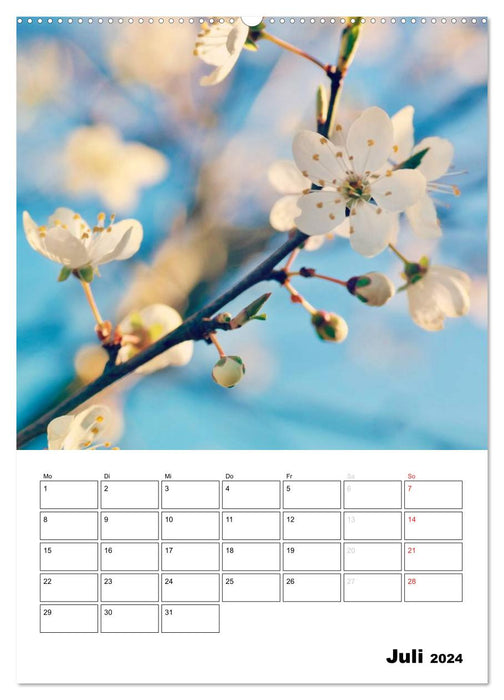 Zauberhafte Blütenwelt / Planer (CALVENDO Premium Wandkalender 2024)