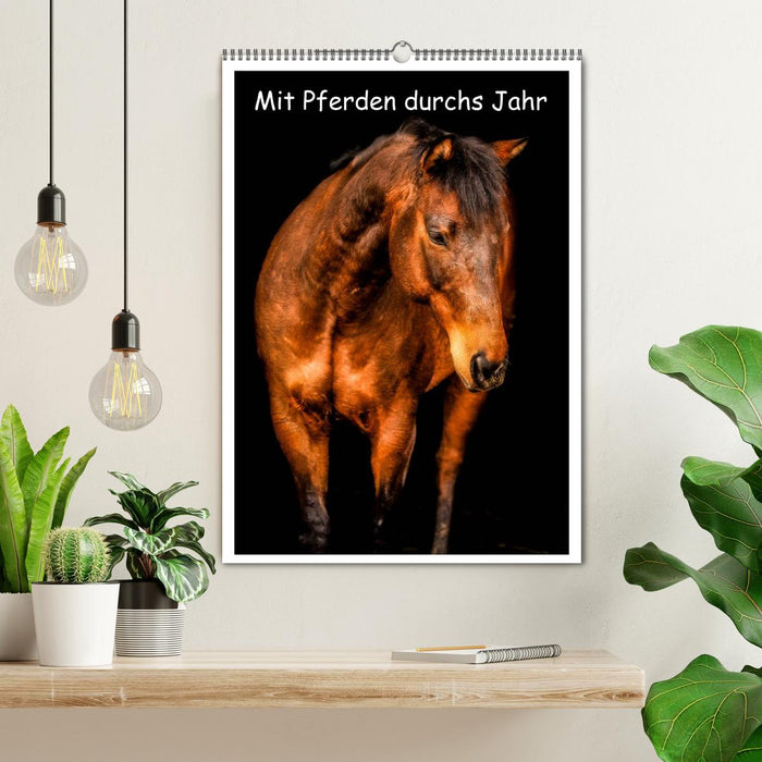 With horses throughout the year / planner (CALVENDO wall calendar 2024) 