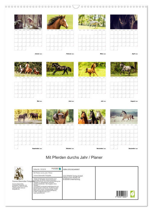 With horses throughout the year / planner (CALVENDO wall calendar 2024) 