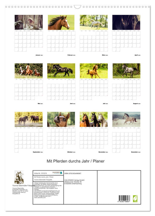 Mit Pferden durchs Jahr / Planer (CALVENDO Wandkalender 2024)