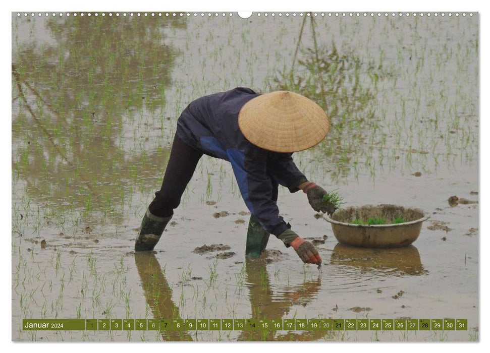 Polyvalent Vietnam (Calvendo Premium Wall Calendar 2024) 