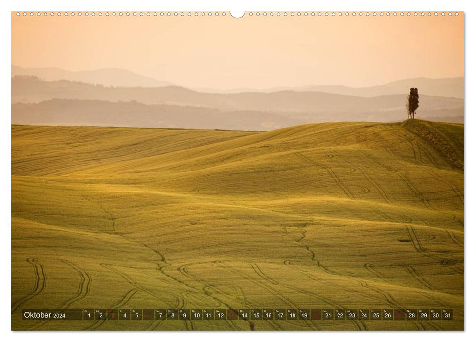 TUSCANY In the land of cypresses (CALVENDO Premium Wall Calendar 2024) 