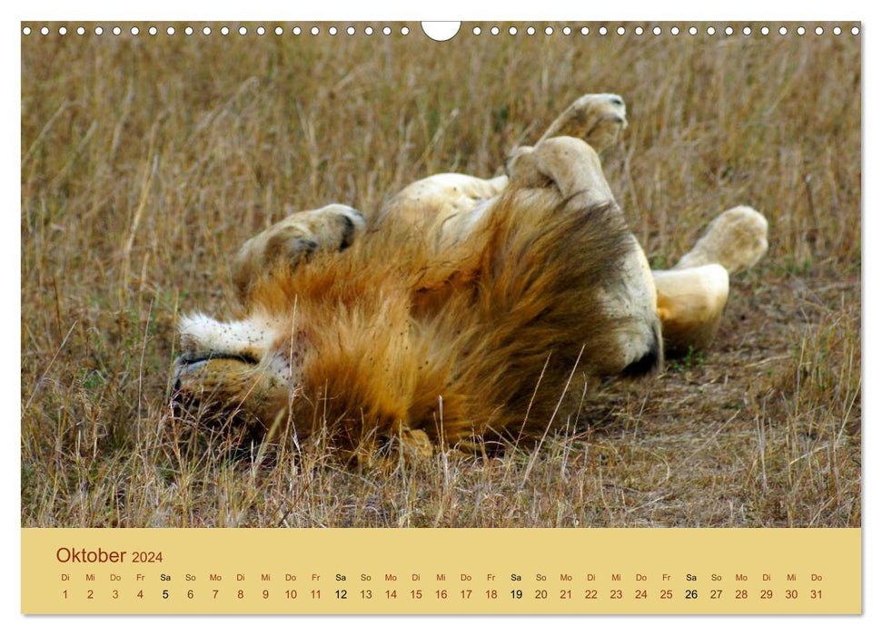 Safari impressions / Kenya (CALVENDO wall calendar 2024) 