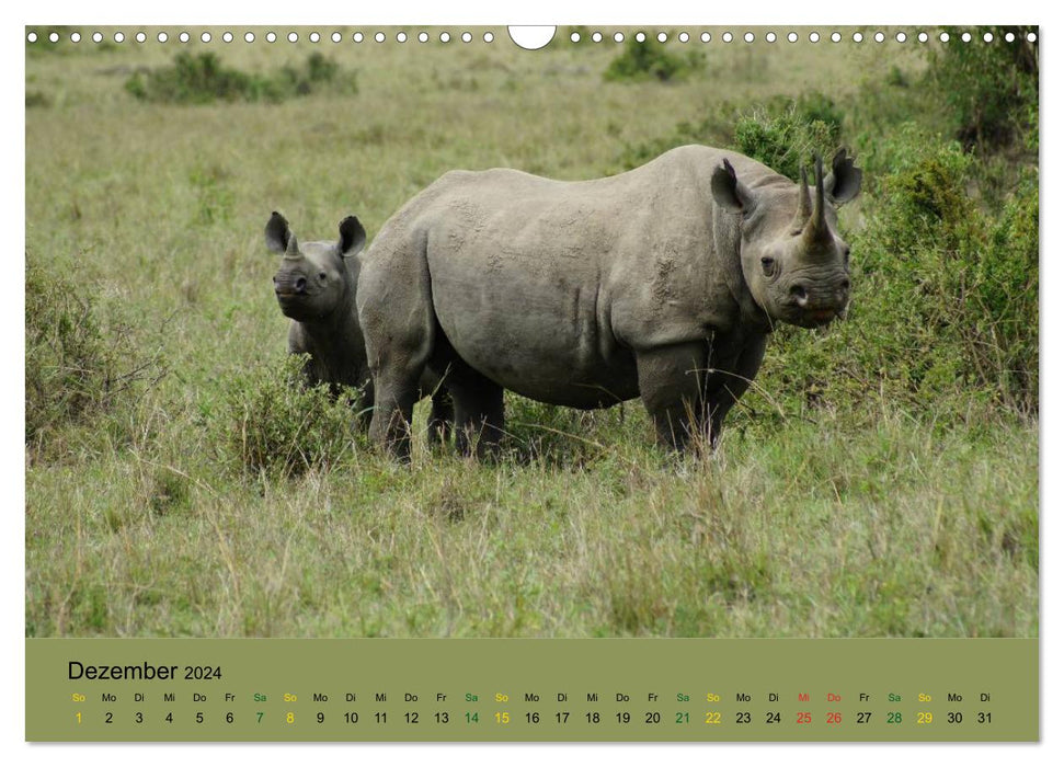 Impressions Safari / Kenya (Calendrier mural CALVENDO 2024) 
