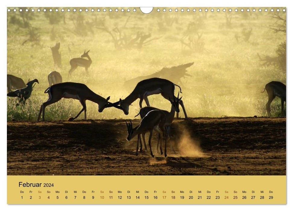 Safari impressions / Kenya (CALVENDO wall calendar 2024) 