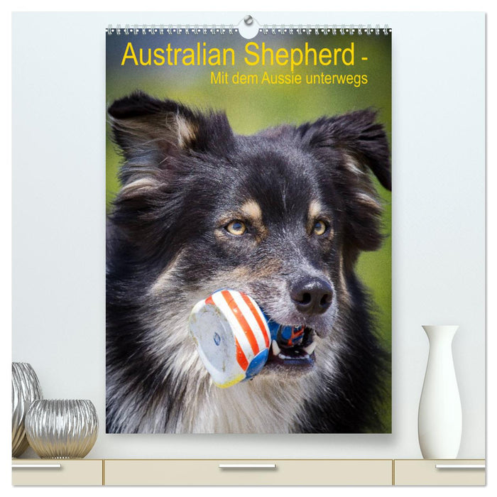 Australian Shepherd – On the road with the Aussie (CALVENDO Premium Wall Calendar 2024) 