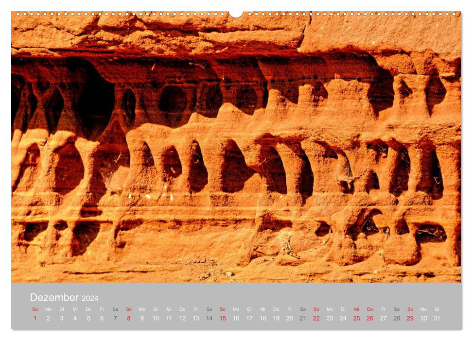 Felsen im Pfälzer Wald (CALVENDO Premium Wandkalender 2024)