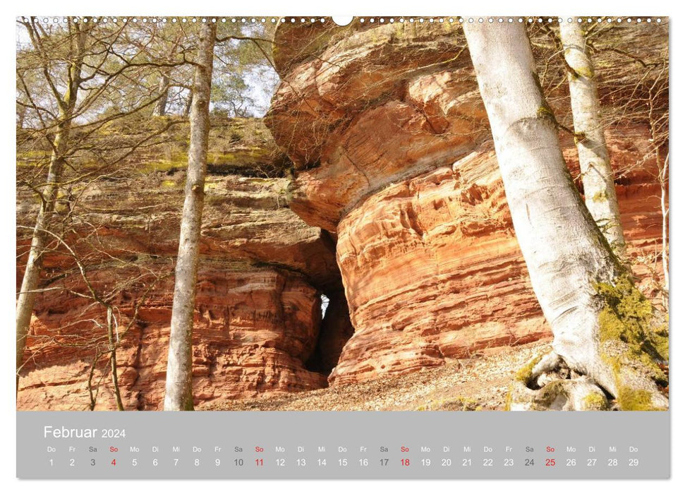 Rocks in the Palatinate Forest (CALVENDO Premium Wall Calendar 2024) 