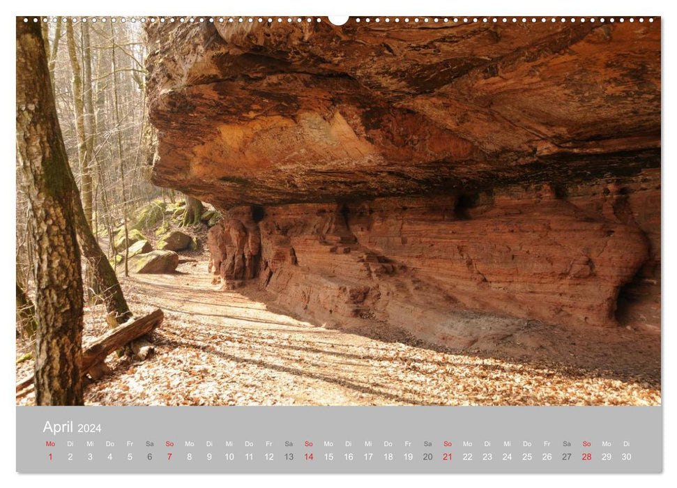 Rocks in the Palatinate Forest (CALVENDO Premium Wall Calendar 2024) 