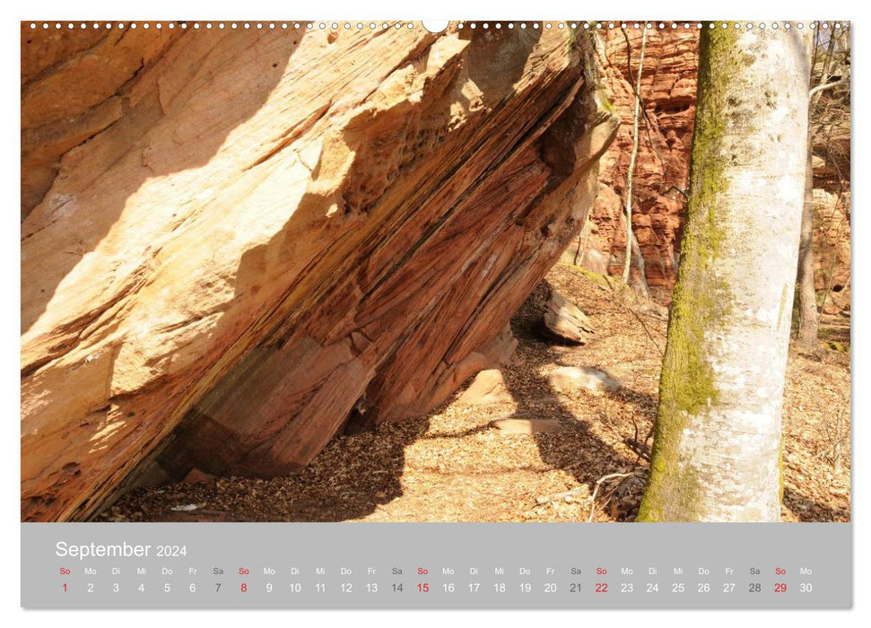Felsen im Pfälzer Wald (CALVENDO Premium Wandkalender 2024)