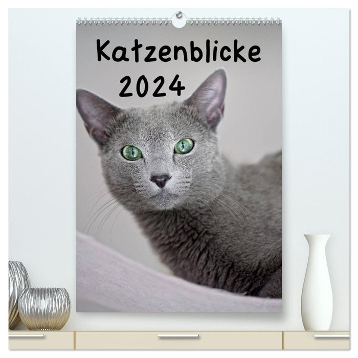 Cat Looks 2024 (Calvendo Premium Calendrier mural 2024) 