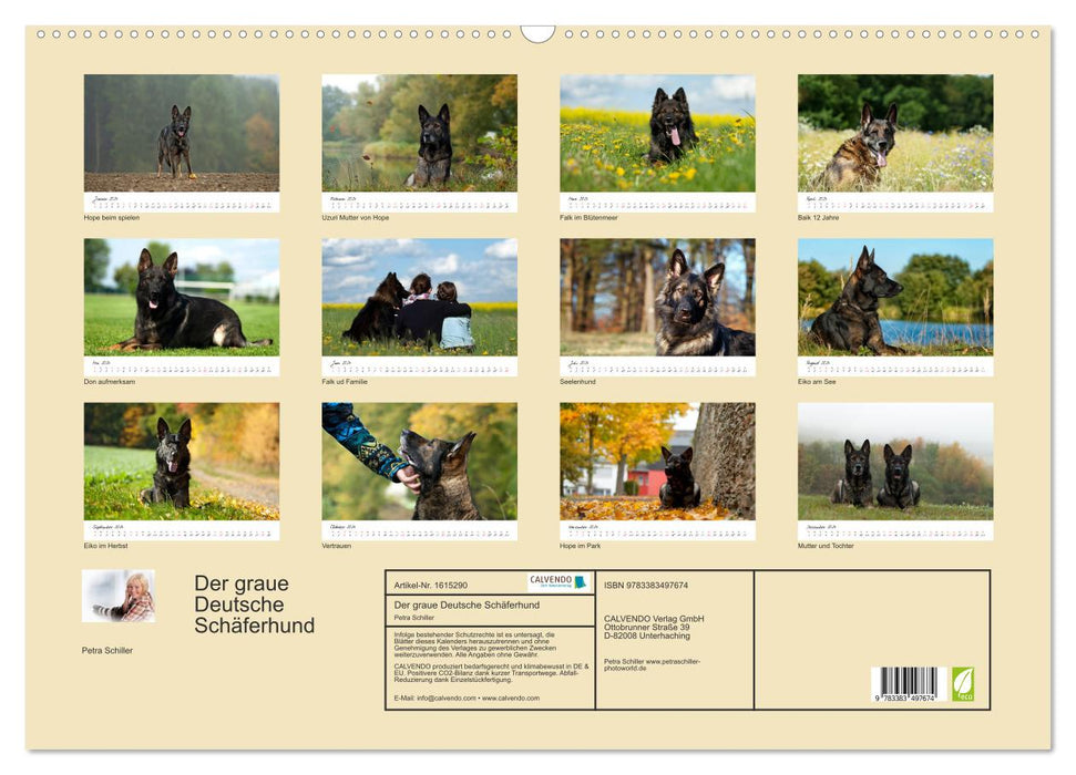 The gray German Shepherd (CALVENDO wall calendar 2024) 