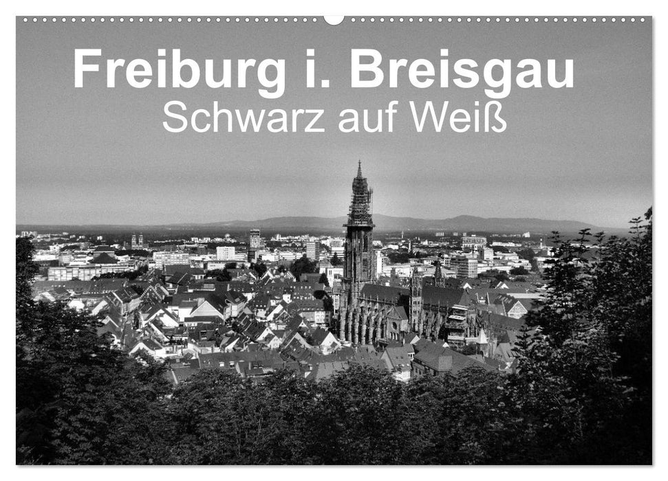 Freiburg i. Breisgau Black on White (CALVENDO Wall Calendar 2024) 