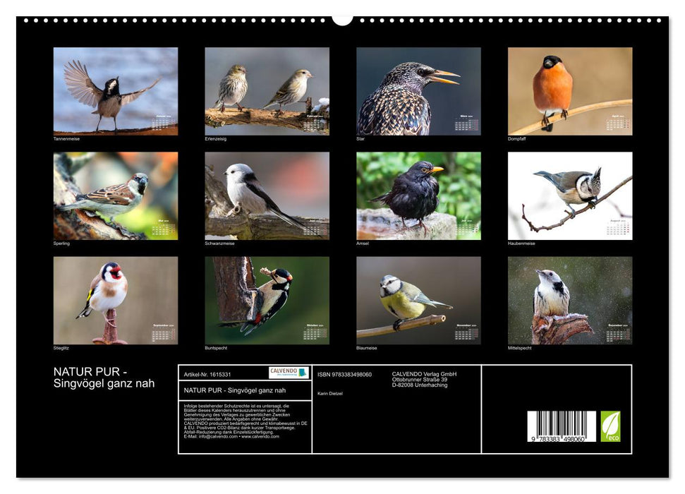 PURE NATURE - songbirds up close (CALVENDO Premium Wall Calendar 2024) 