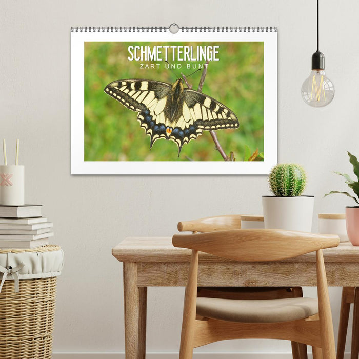 Butterflies: delicate and colorful (CALVENDO wall calendar 2024) 