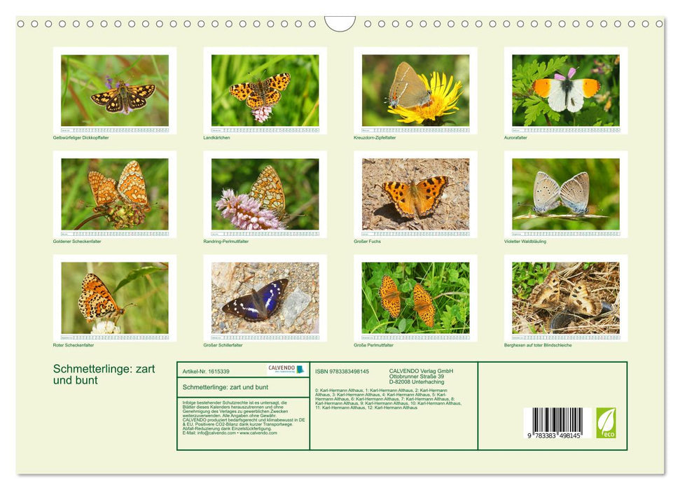 Schmetterlinge: zart und bunt (CALVENDO Wandkalender 2024)