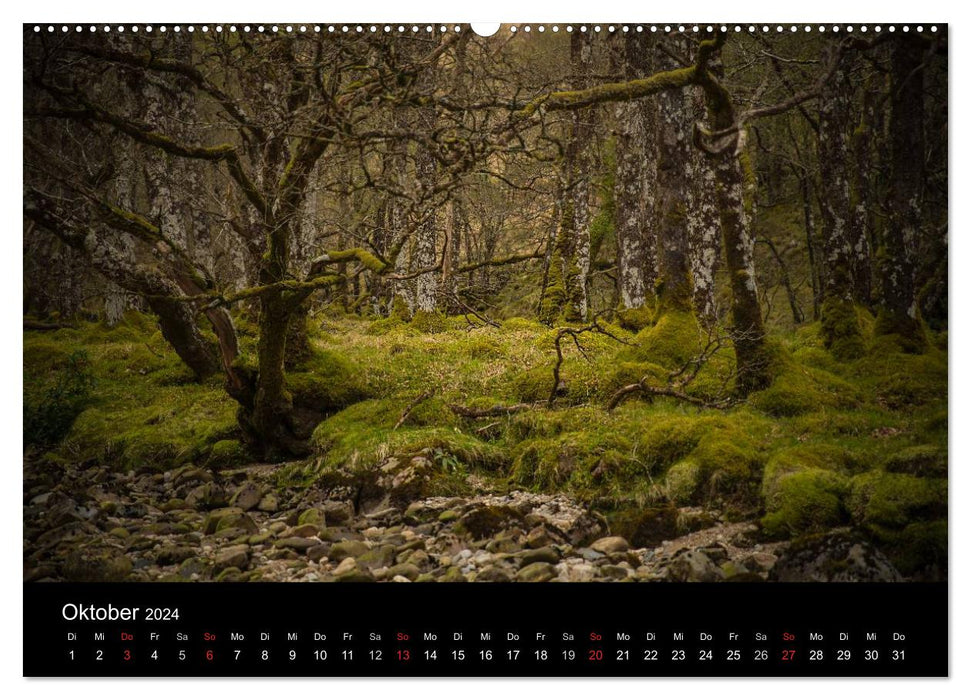 Schottland - Scotland - Alba (CALVENDO Wandkalender 2024)