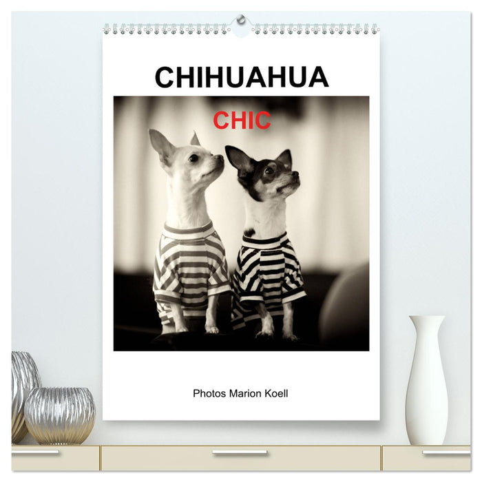 CHIHUAHUA CHIC Photos Marion Koell (Calvendo Premium Calendrier mural 2024) 