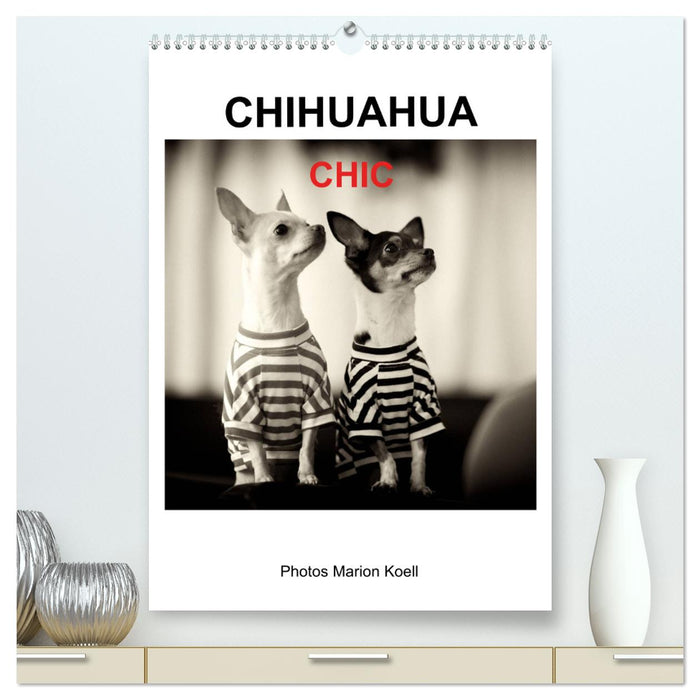 CHIHUAHUA CHIC Photos Marion Koell (CALVENDO Premium Wall Calendar 2024) 