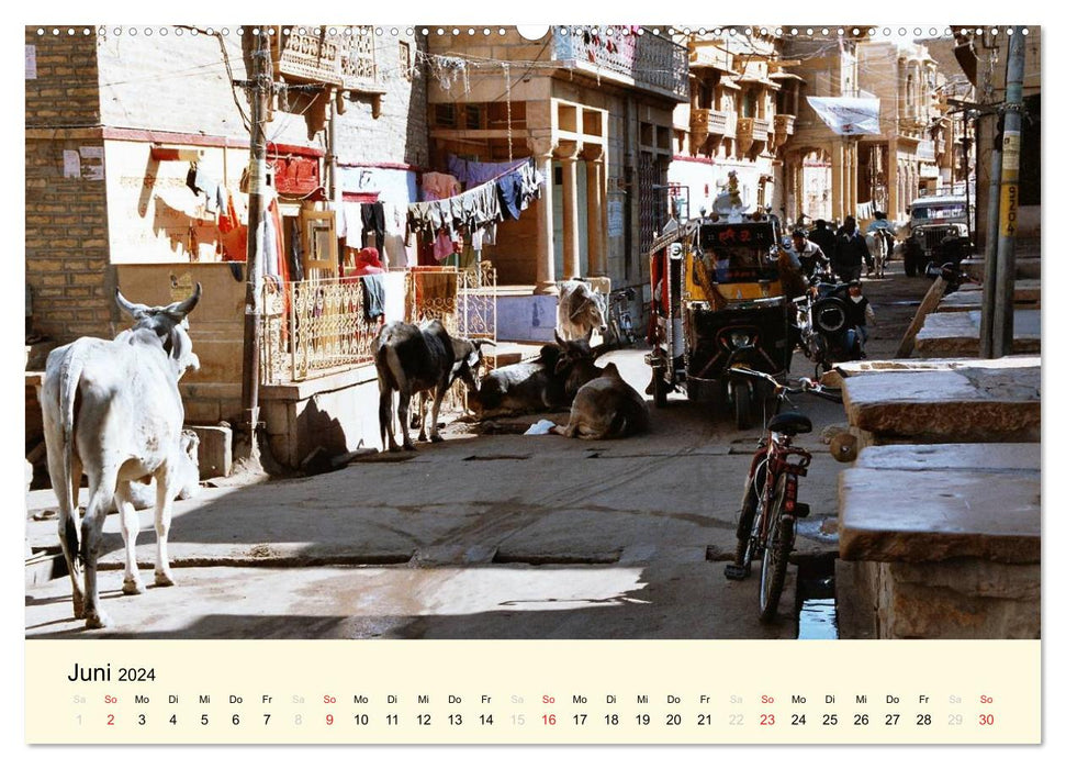 Everyday life in India (CALVENDO Premium Wall Calendar 2024) 