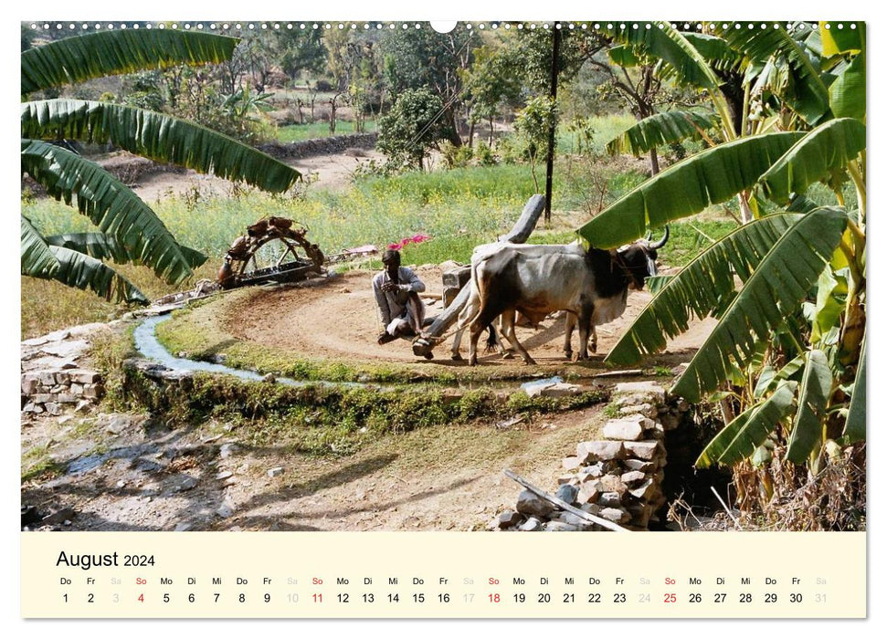 Alltagsleben in Indien (CALVENDO Premium Wandkalender 2024)