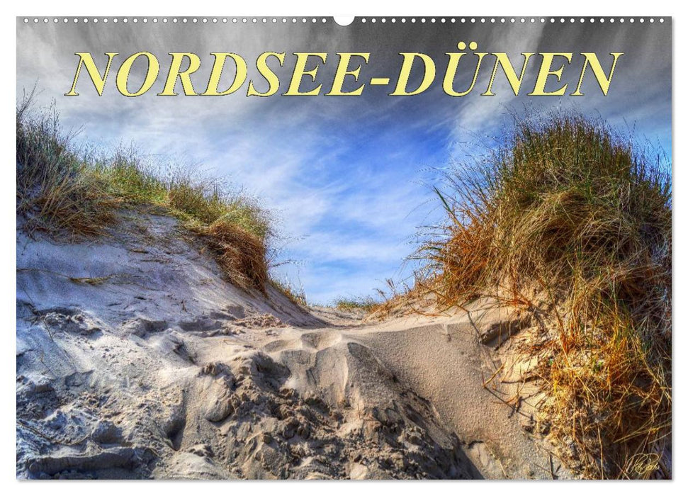 Nordsee-Dünen (CALVENDO Wandkalender 2024)