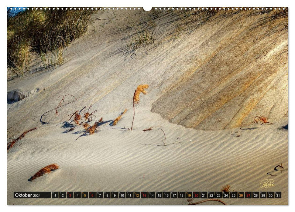 North Sea dunes (CALVENDO wall calendar 2024) 