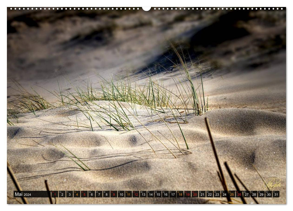 North Sea dunes (CALVENDO wall calendar 2024) 