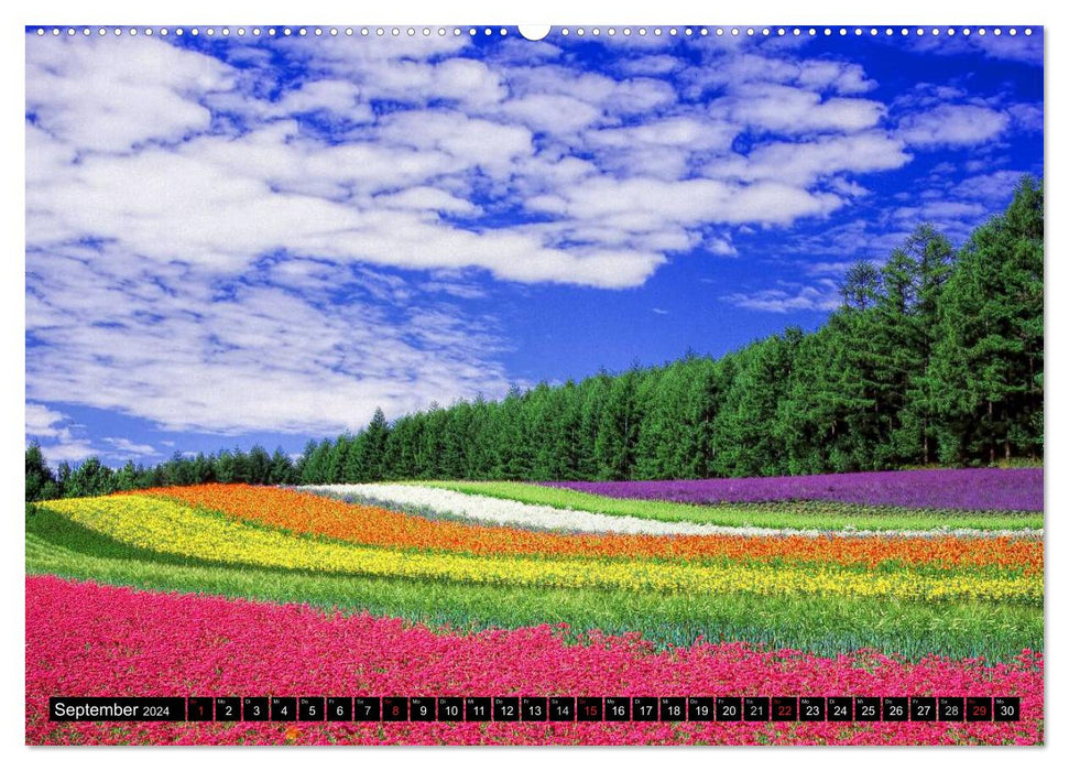 Landscapes in a rush of color (CALVENDO Premium Wall Calendar 2024) 